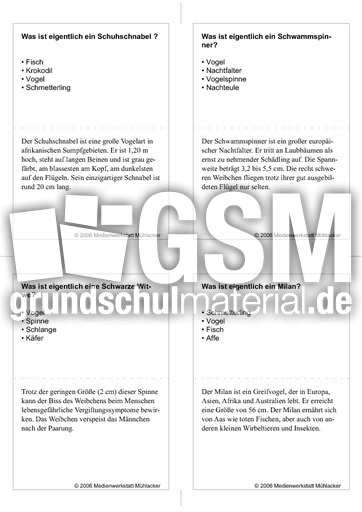 Quiz-Karten-Tiernamen 13.pdf